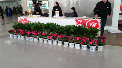 4S店前台植物租赁