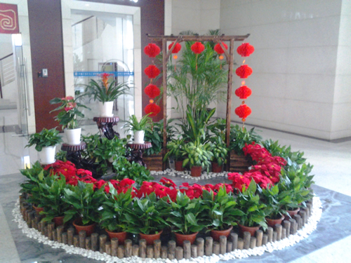 大厅花卉租摆