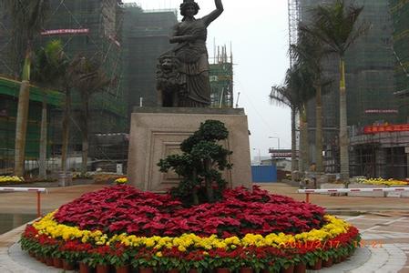 售楼部花卉租赁