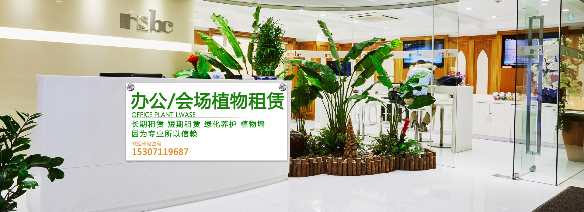 武汉绿植租赁_武汉绿植租摆_武汉花卉租赁-武汉雅景园艺