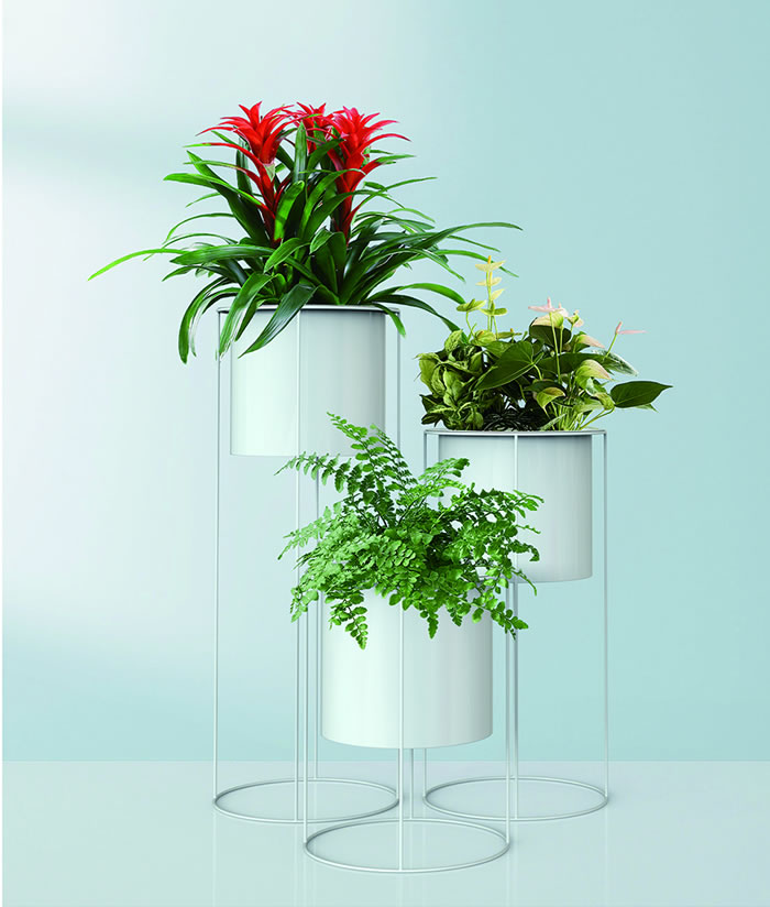 室内租赁组合花箱