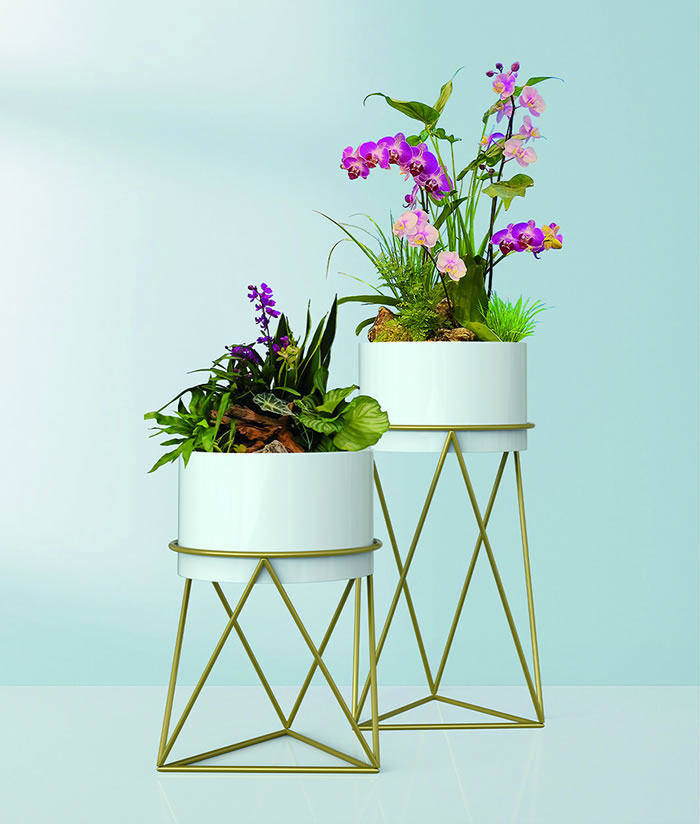 室内租赁组合花箱