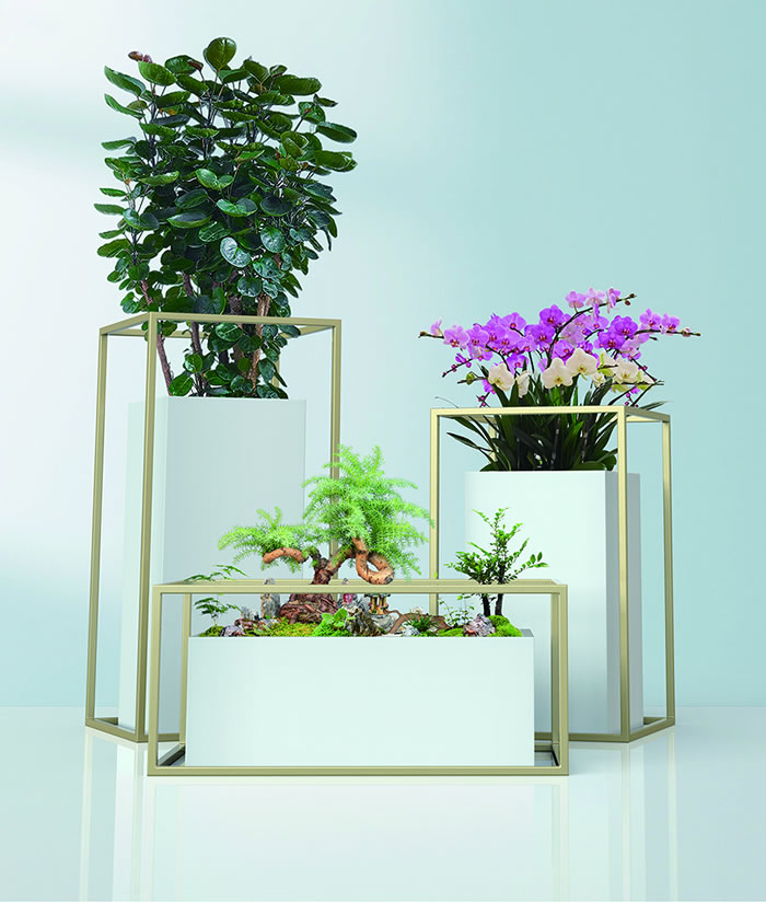 室内租赁组合花箱