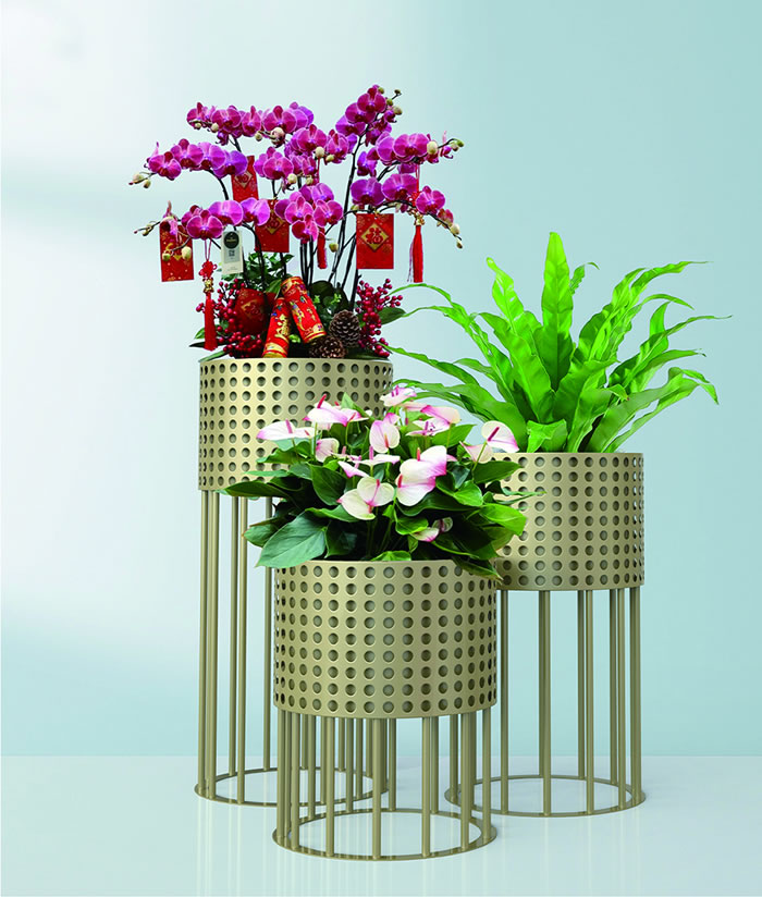 室内租赁组合花箱