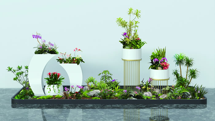 室内租赁组合花箱