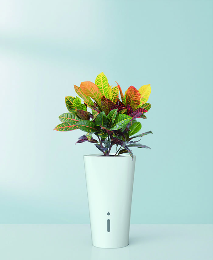 室内租赁组合花箱