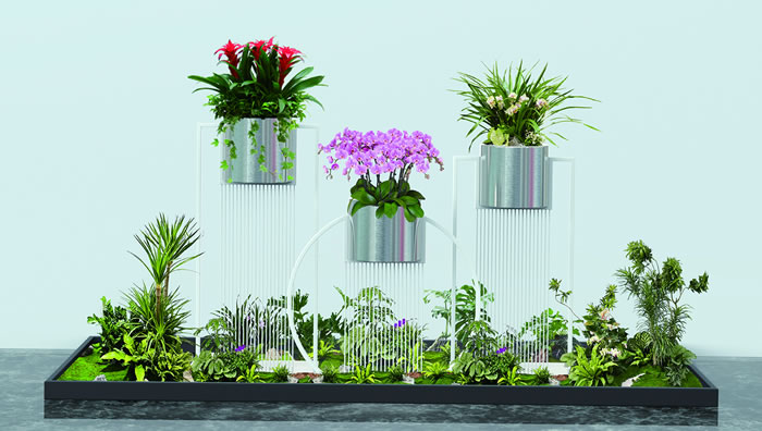 室内租赁组合花箱