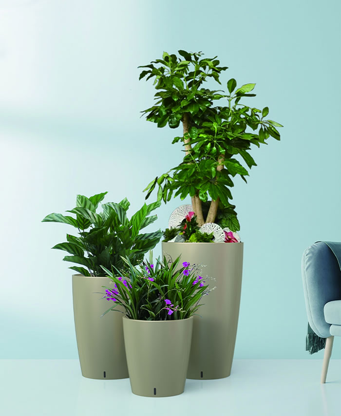 室内租赁组合花箱