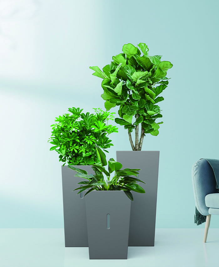 室内租赁组合花箱