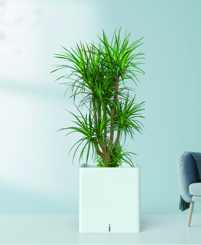 室内租赁组合花箱