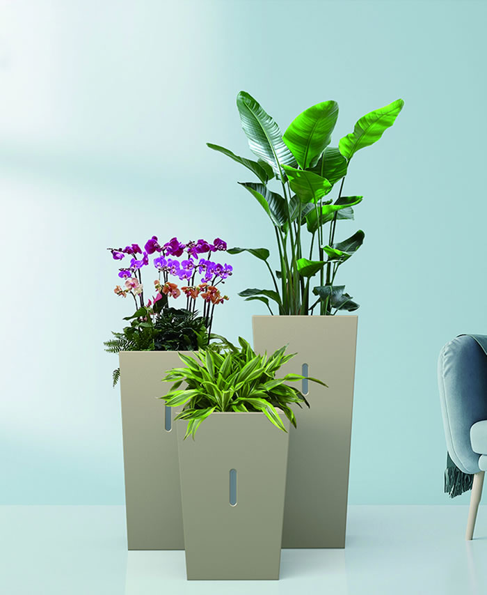 室内租赁组合花箱