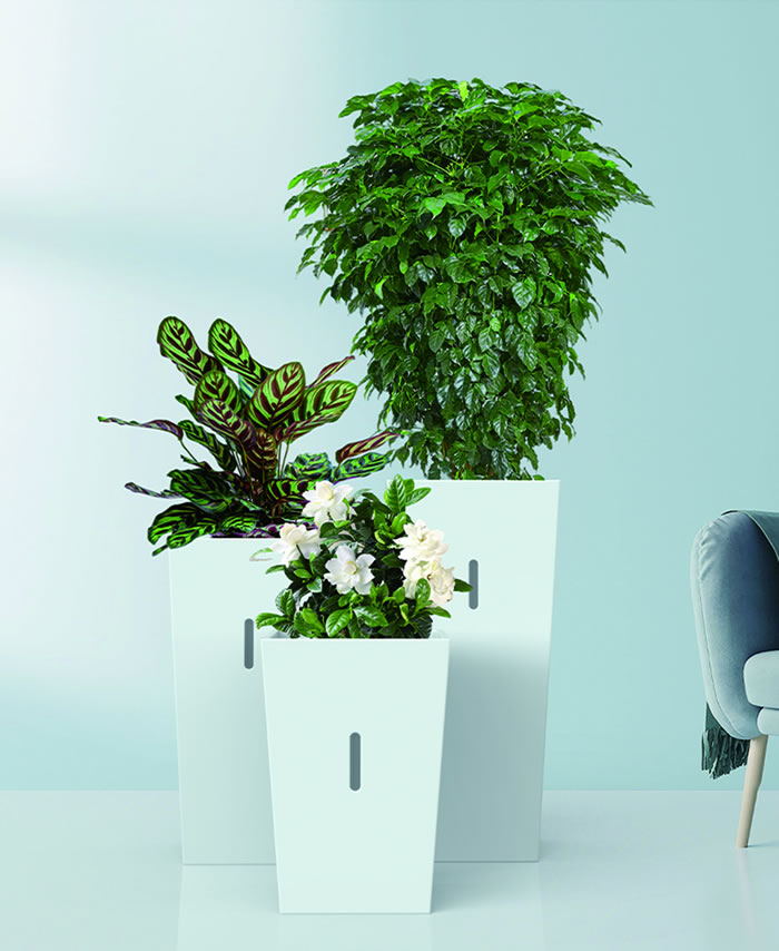 室内租赁组合花箱