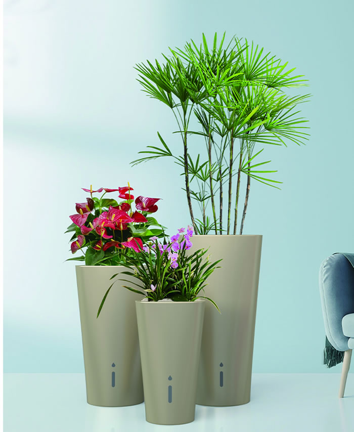 室内租赁组合花箱