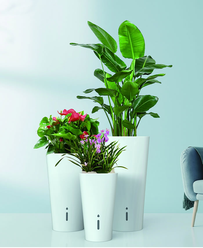 室内租赁组合花箱