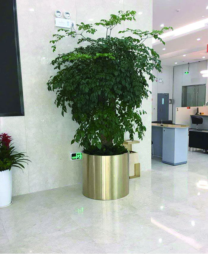 室内租赁组合花箱