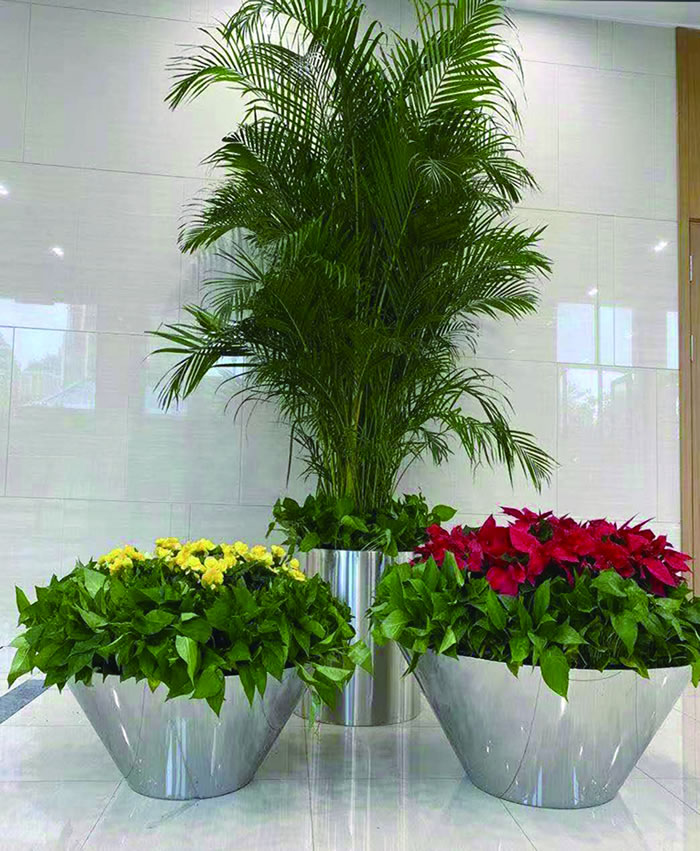 室内租赁组合花箱