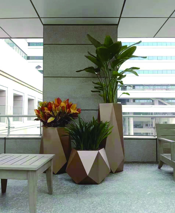 室内租赁组合花箱