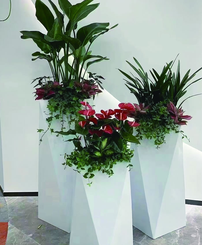 室内租赁组合花箱