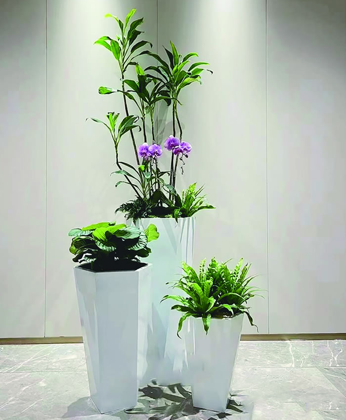 室内租赁组合花箱