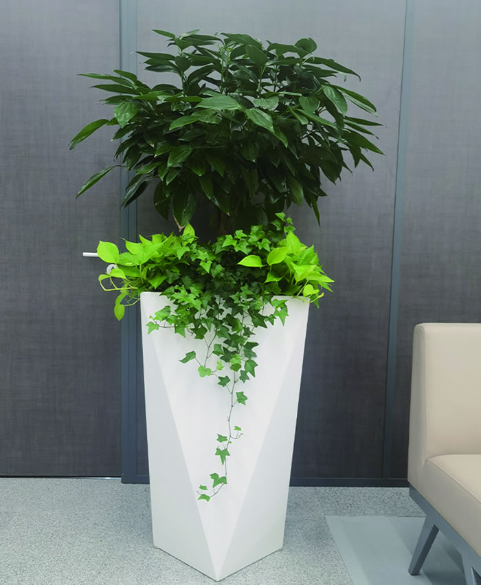 室内租赁组合花箱