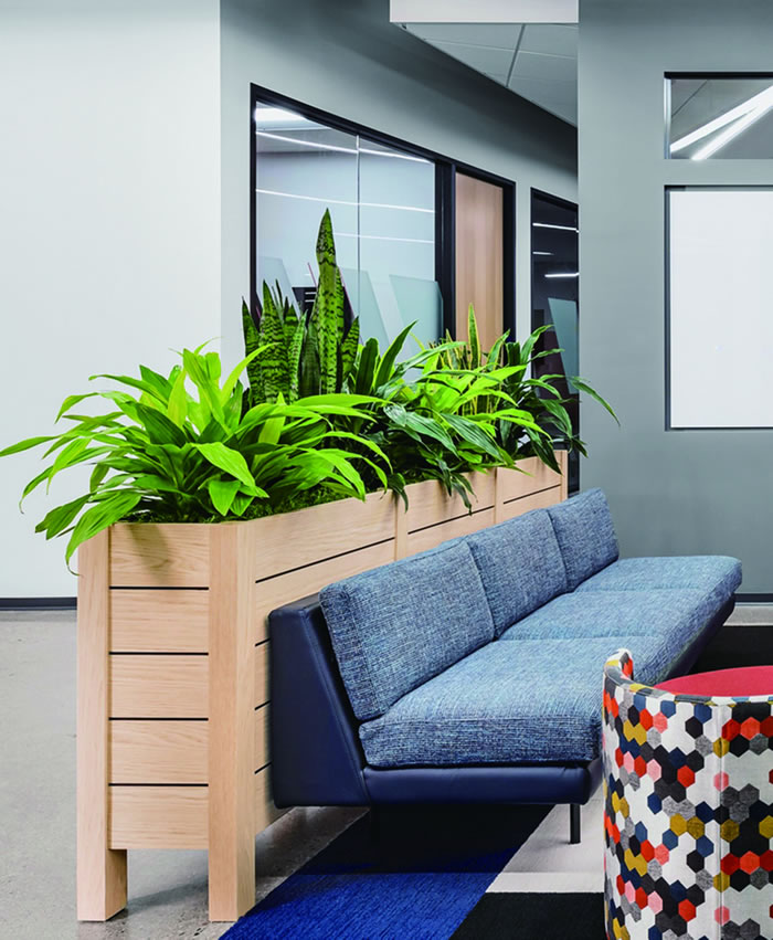 室内租赁组合花箱