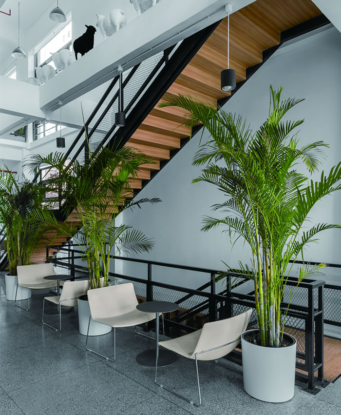 室内租赁组合花箱