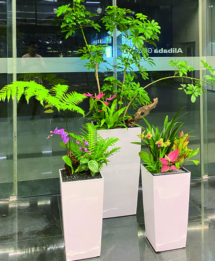 室内租赁组合花箱