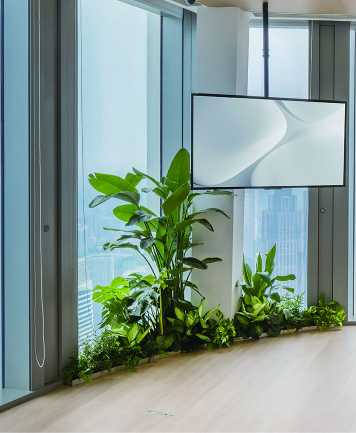 室内租赁组合花箱