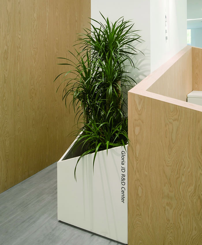 室内租赁组合花箱