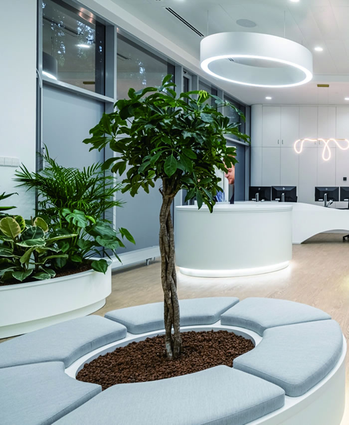 室内租赁组合花箱