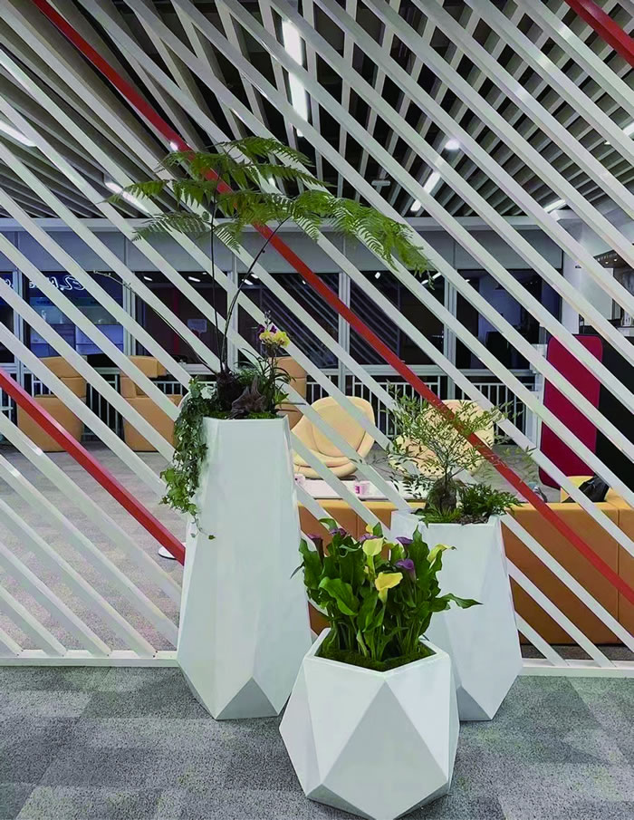 室内租赁组合花箱