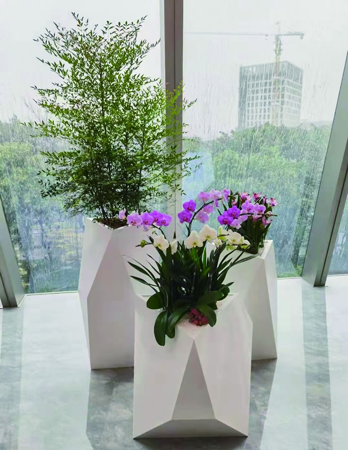 室内租赁组合花箱