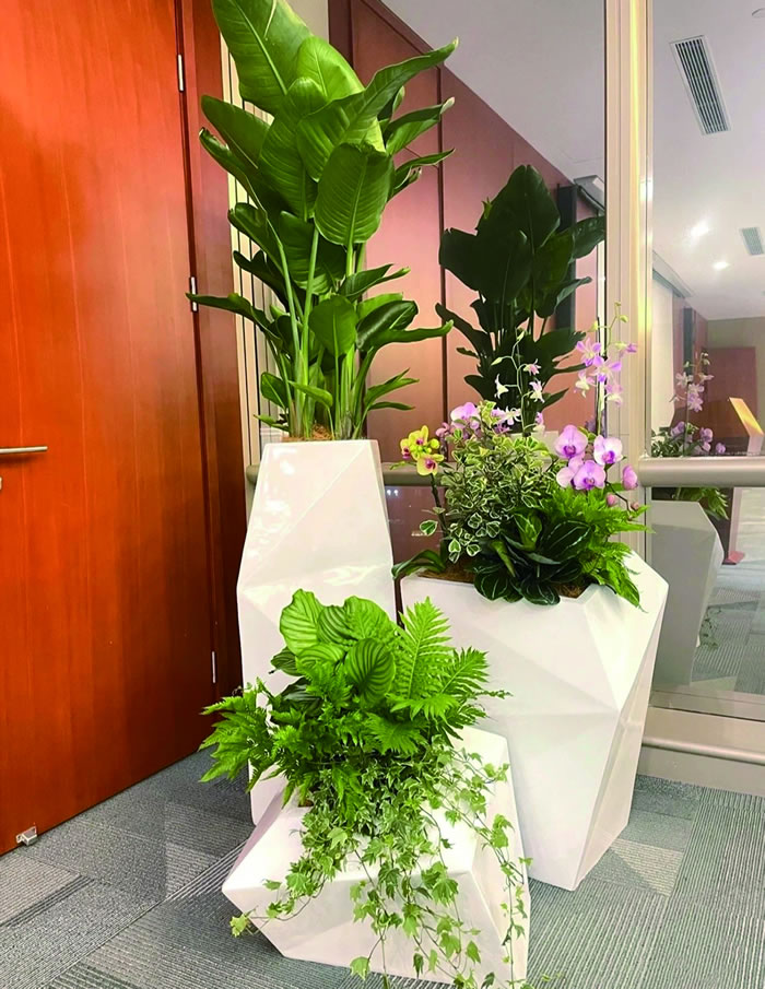 室内租赁组合花箱