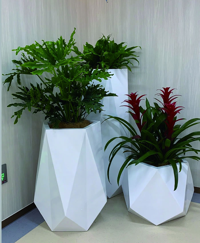 室内租赁组合花箱