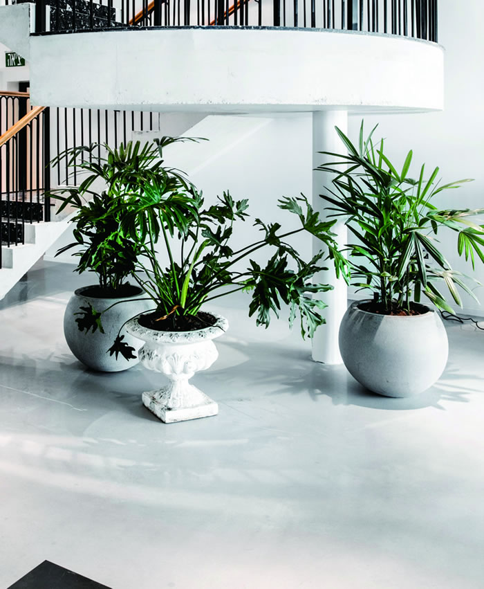 室内租赁组合花箱