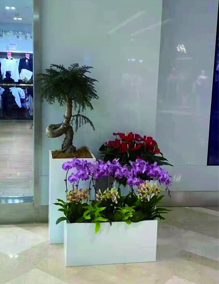 室内租赁组合花箱