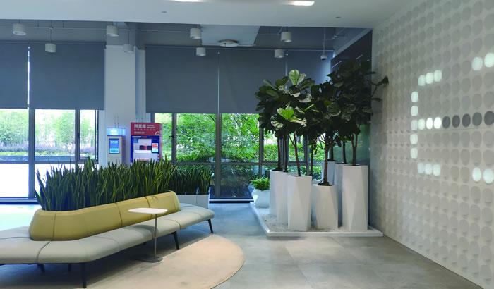 室内租赁组合花箱