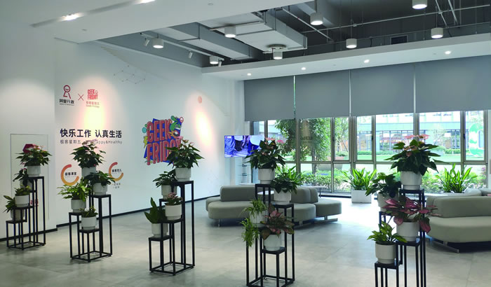 室内租赁组合花箱