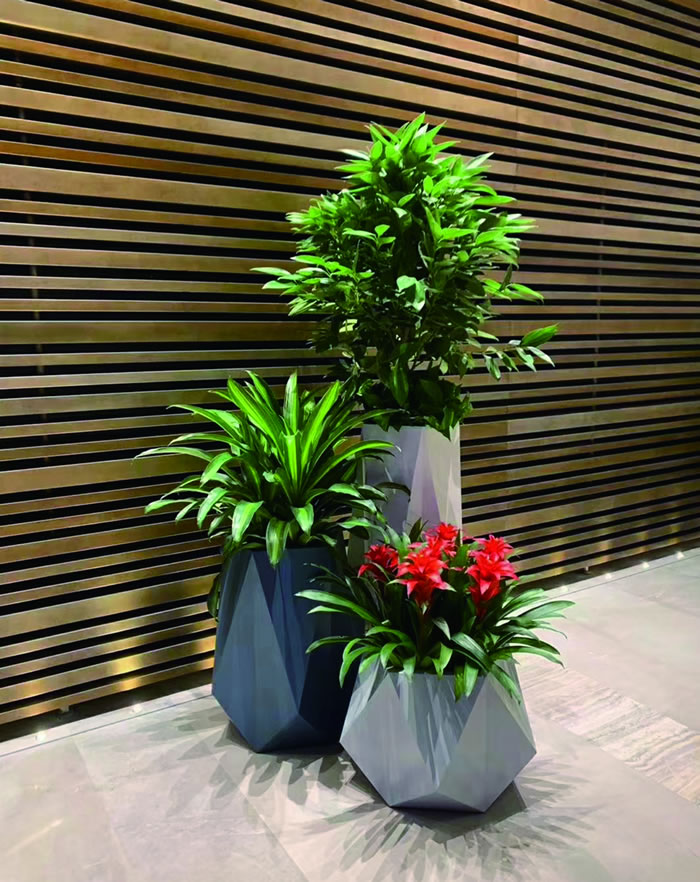 室内租赁组合花箱